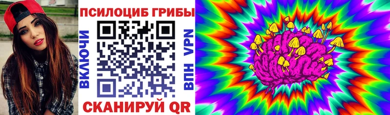 Купить  Мамоново  Псилоцибиновые грибы Cubensis 